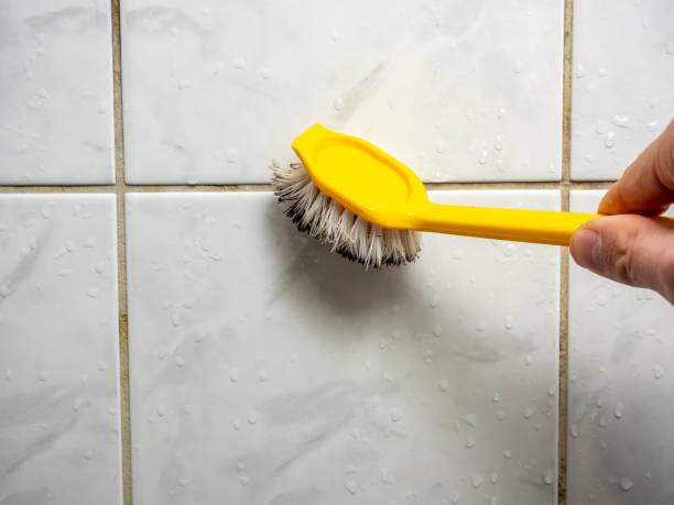 Best Mold Remediation Experts  in Somerville, NJ